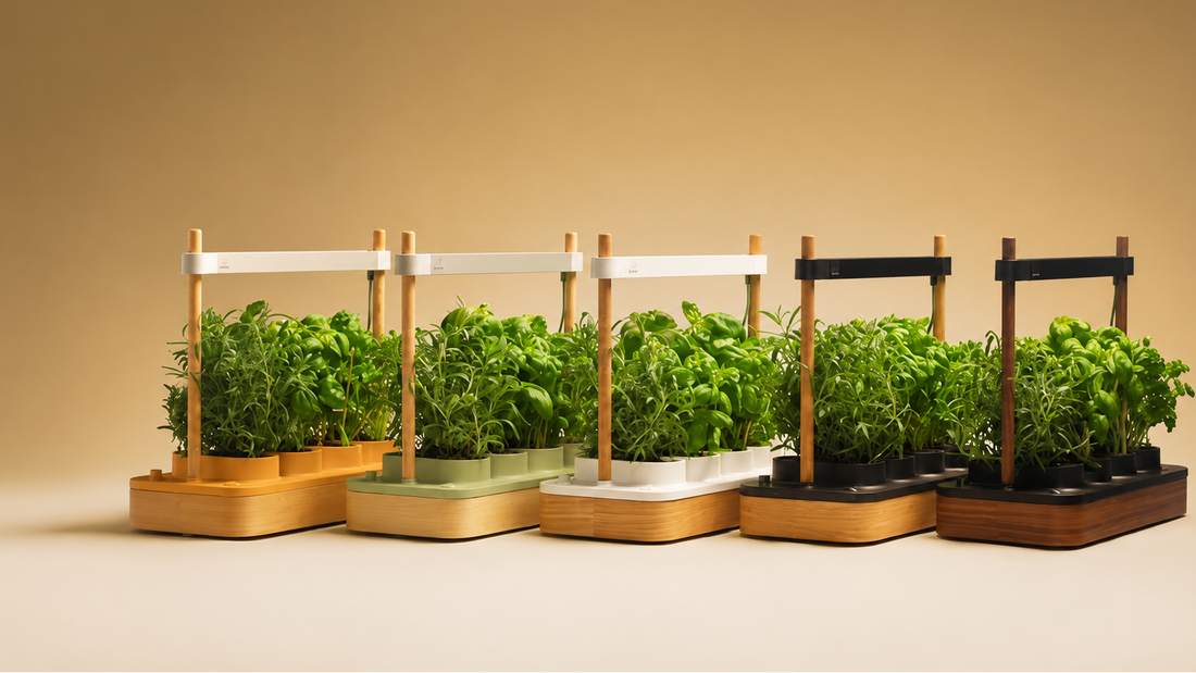 Comment entretenir un potager intérieur : conseils simples pour réussir ses plantations