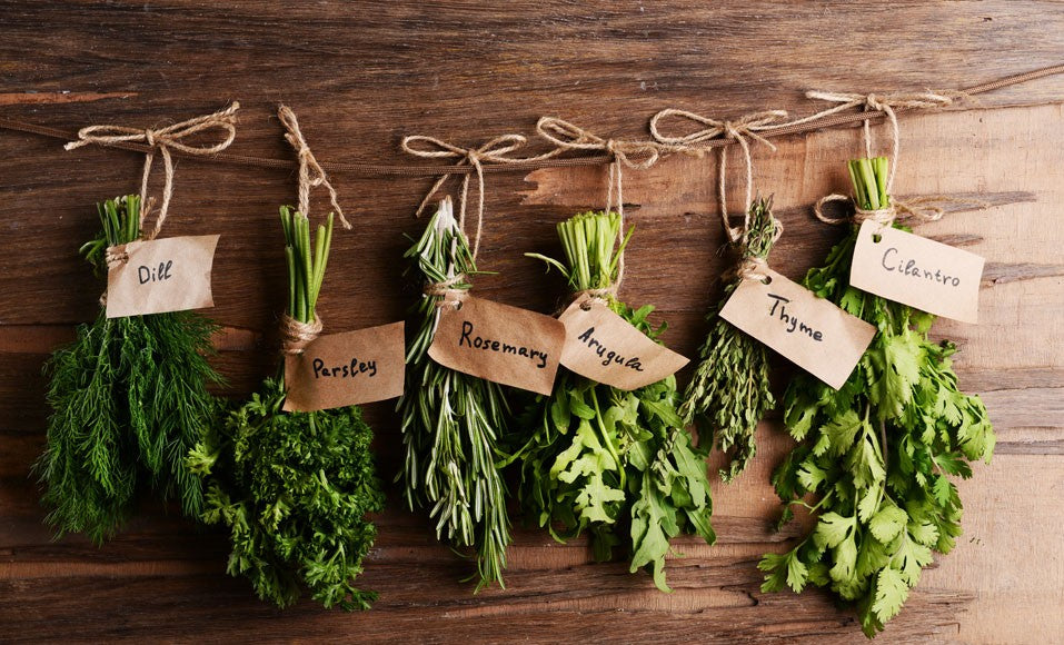 8 plantes aromatiques faciles à faire pousser en intérieur toute l’année