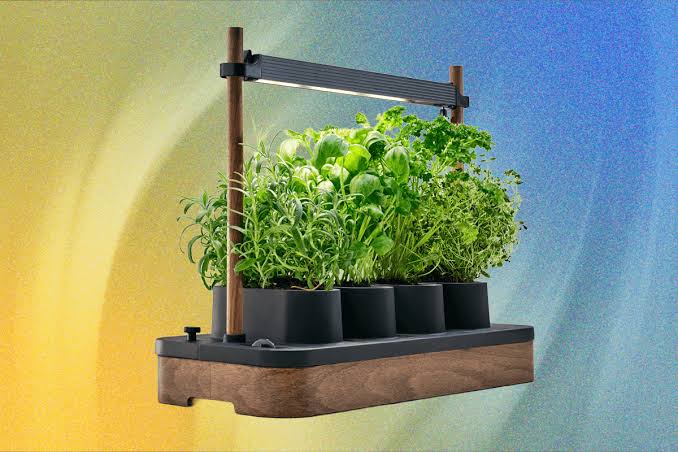 Les 10 avantages du Potager connecté Neo Cultive