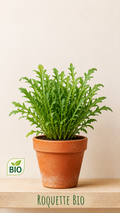 Roquette