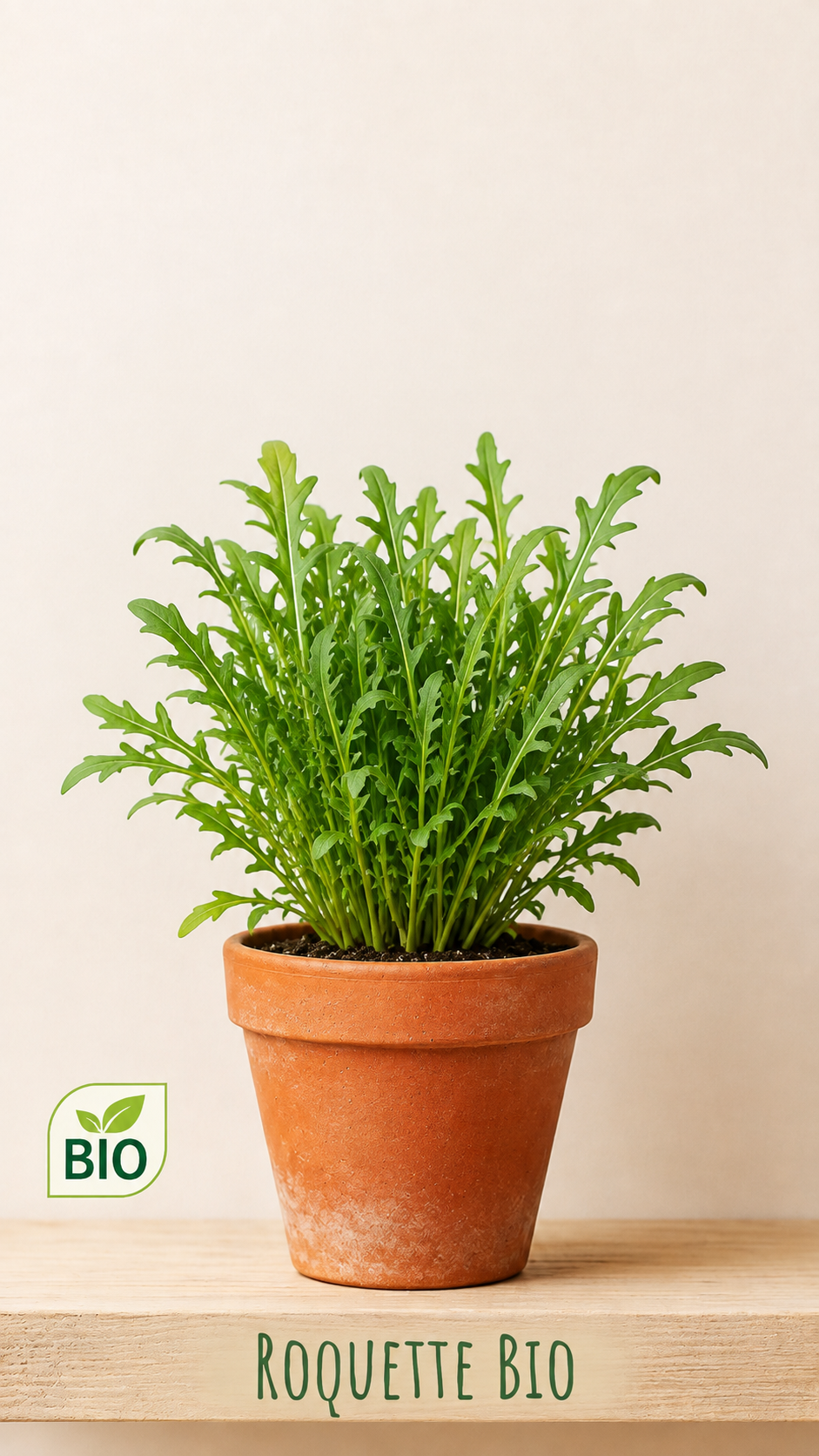 Roquette