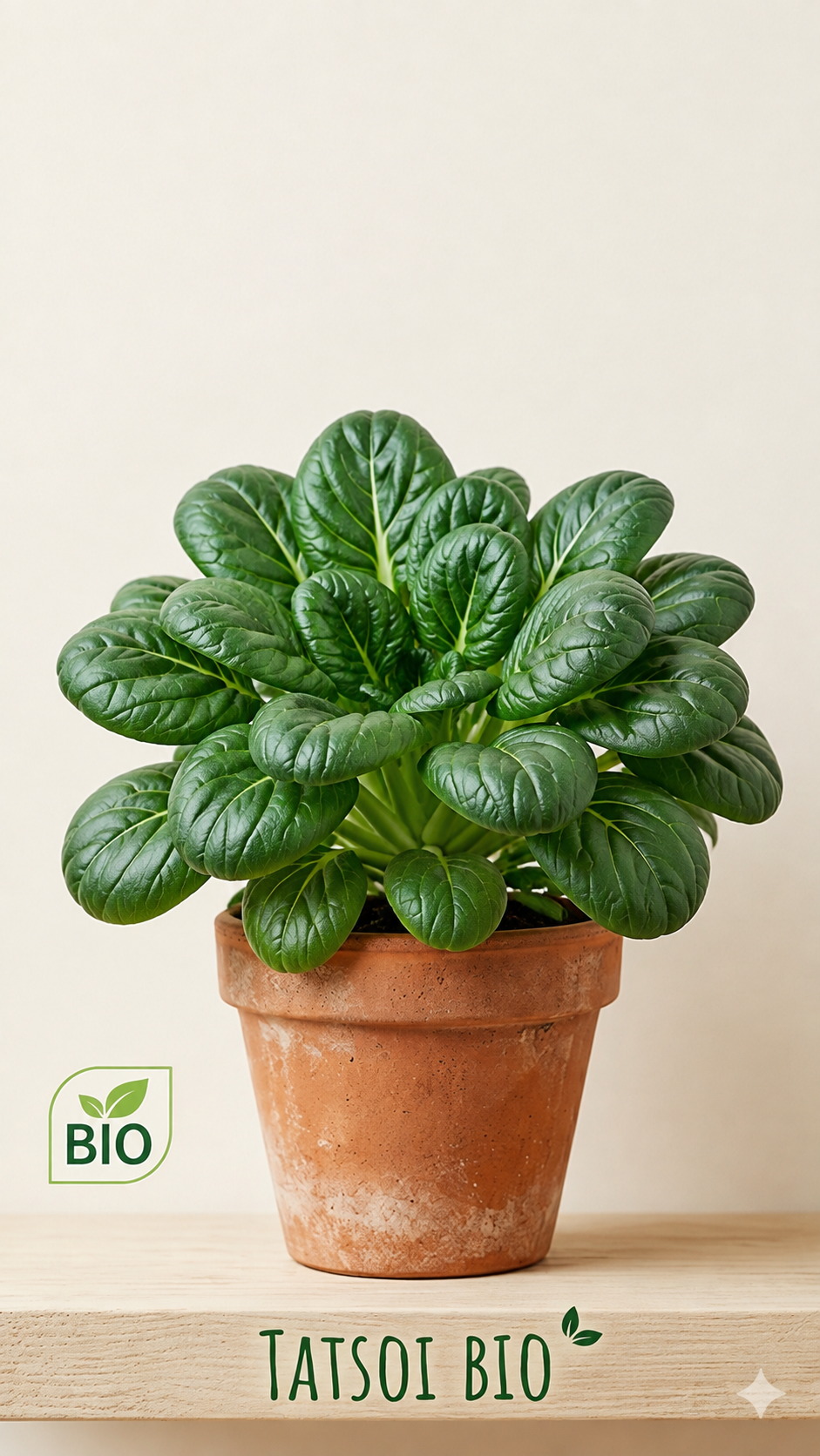 Tatsoi