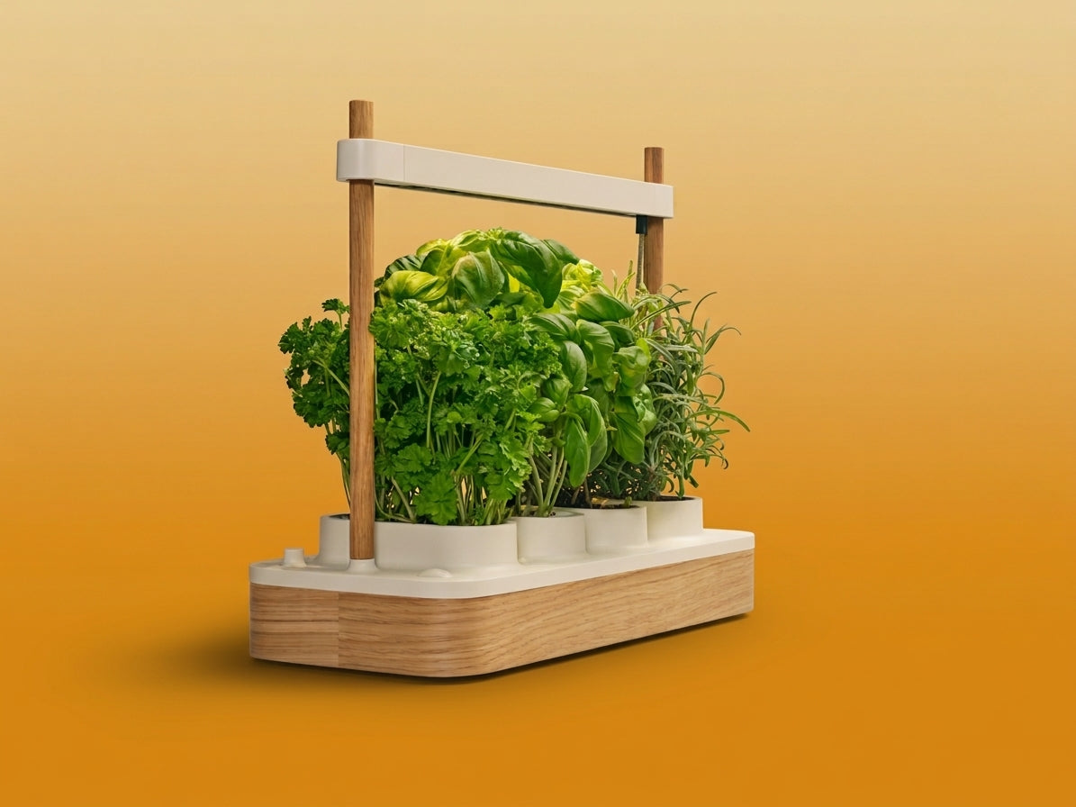 Image du potager Neo Cultive de couleur Blanc et bamboo