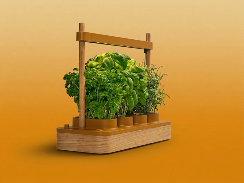 Image du potager Neo Cultive de couleur Bronze et bamboo